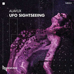 Ufo Sight Seeing (Andrew Duke Remix)