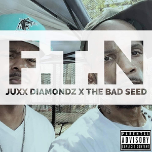 F.T.N (**** These Niggaz)