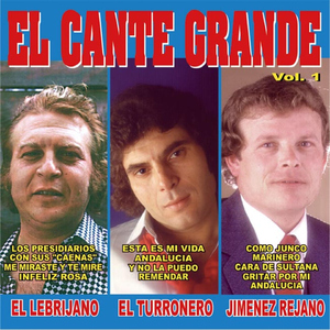 Y No la Pueo Remendar (Alegrías)