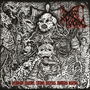 Altar De Ossos E Carcaças