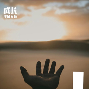 再不再见(p) - 半桶大师Cover