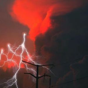 Flowerboy蕉蕉-纽约到巴黎