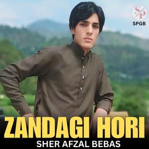 Zandagi Hori (feat. Sher Afzal Bebas)