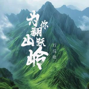 为你翻山越岭