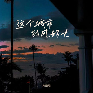 这个城市的风好大（这些年我过得好嘛）