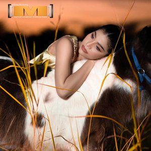 ប្រផ្នូលទឹកភ្នែក