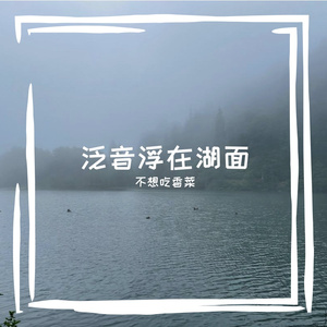 罗布泊聪明冥想音乐