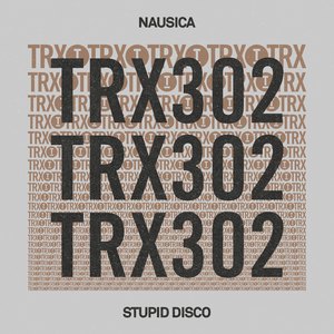 Stupid Disco (Extended Mix)