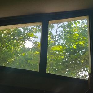 Encore (feat. IBleedIcare, epitomeoffailure & lil XipZ)