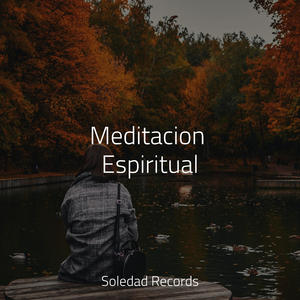 Meditación De Marea Lapeante