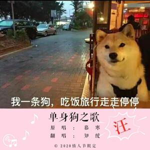 单身狗之歌（少女ver）