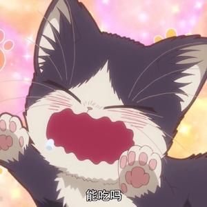 SAY SO 中文填词 - 距离 伴奏