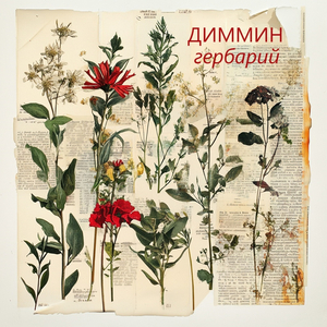 Идем дальше