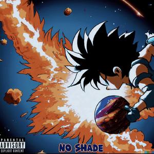 No Shade