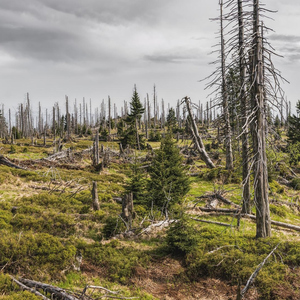 Spirit Of The Good Life