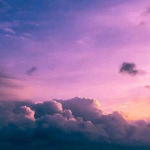 Higher-(Shreck)-(Prod.plantplantworld)