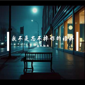 我不是忘不掉你的模样