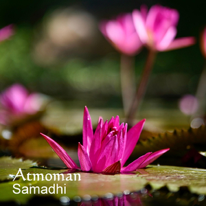 Samadhi