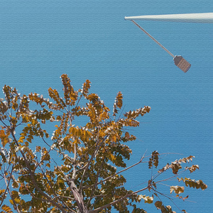 三月里的小雨 (悠扬的二胡)