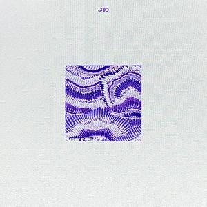 Sur un fil (feat. Sora & hoqboy)