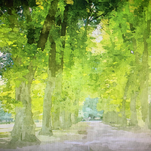 木漏れ日の中で