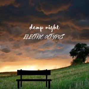 Damp Night