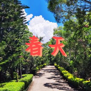 春天