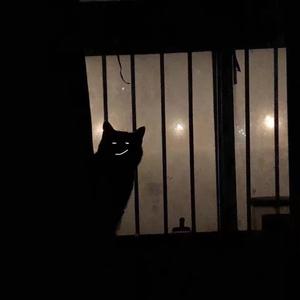 杀死那个石家庄人