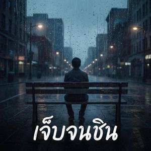 เจ็บจนชิน