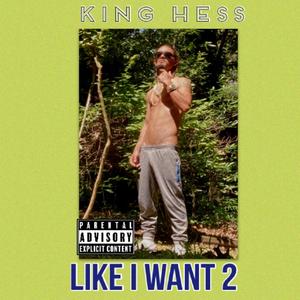 Like I Want 2