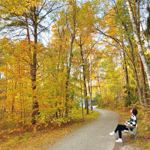 我がイメージの限り