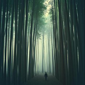 Đếm Lại Những Ngày Xa