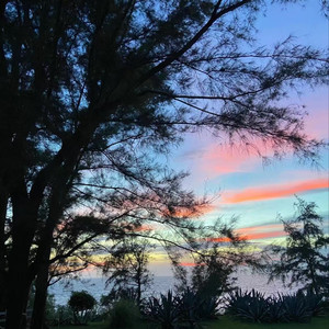 全宇宙的引力 王源