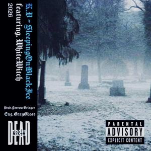 SleepingOnBlackIce (feat. WhiteWitch)