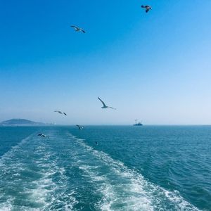 《春暖花开 你还不来》【女低音纯净版同学聚会专用】