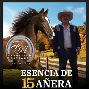 Esencia De 15 Añera