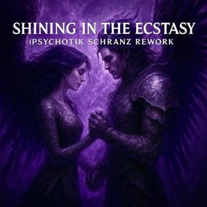 Shining In The Ecstasy (Psychotik Schranz Rework)