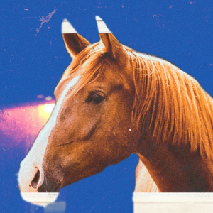 Horse Leak