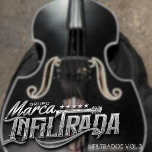 Se volvieron locos (tolo) (live)