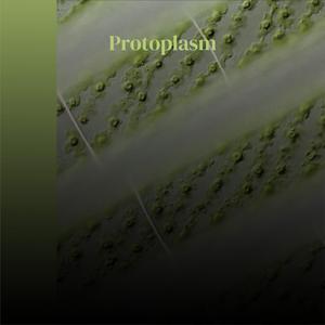 Protoplasm