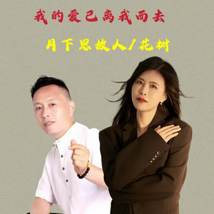 我的爱已离我而去 (伴奏)