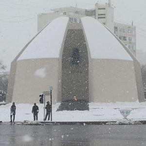 Тёмные скамейки