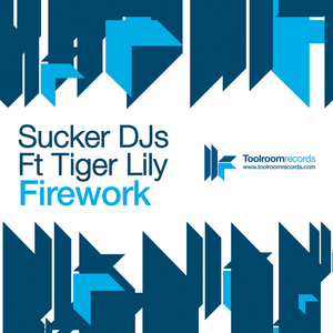 Firework (Matt Samuels Remix)