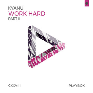 Work Hard (Vaigandt Remix)