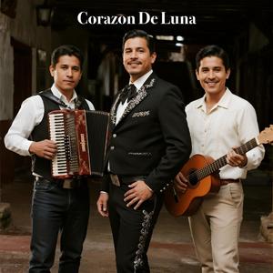 Sólo Quiero Que Vuelvas (Banda Romántica, Balada Grupera)