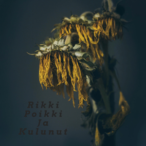 Rikki, poikki ja kulunut