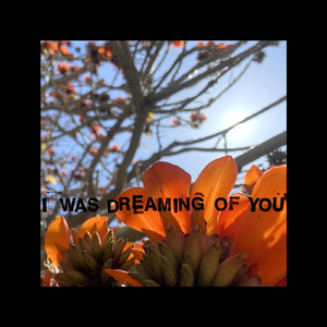 I Was Dreaming of You