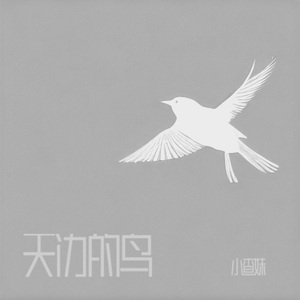 天边的鸟