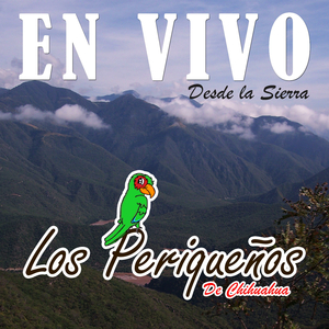 Ojitos Negros (En Vivo)