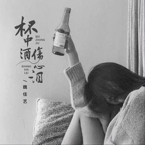杯中酒伤心泪（DJ版）